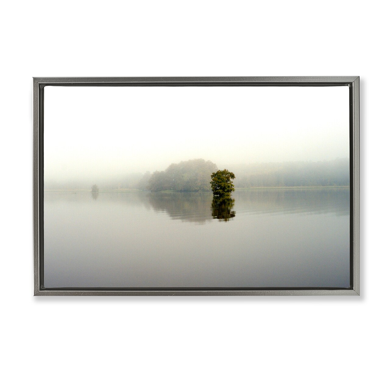 Stupell Industries Misty Lake Reflection Floating Frame, design by Gail Peck